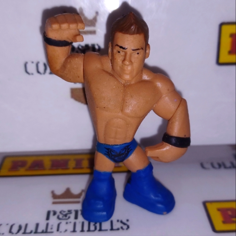The Miz 🔥 WWE Wrestling Action Figure